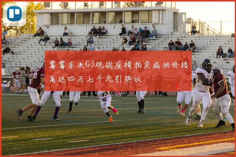 霉霉东决G3观战座椅拍卖成功价格高达四万七千元引热议