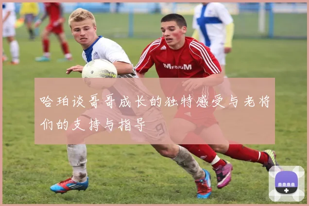 哈珀谈哥哥成长的独特感受与老将们的支持与指导